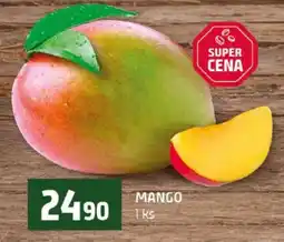 Terno Mango nabídka