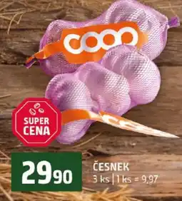 Terno Coo česnek nabídka