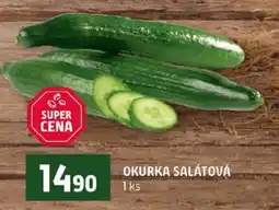 Terno Okurka salátová nabídka