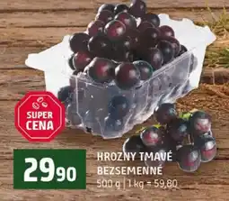 Terno Hrozny tmave bezsemenne nabídka