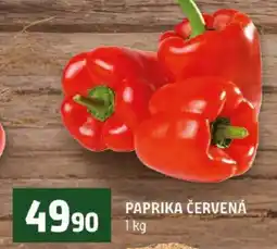 Terno Paprika červená nabídka