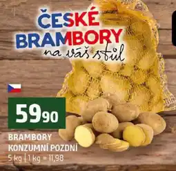 Terno České brambory nabídka
