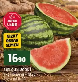 Terno Meloun vodní nabídka