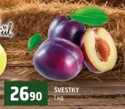 Terno Švestky nabídka