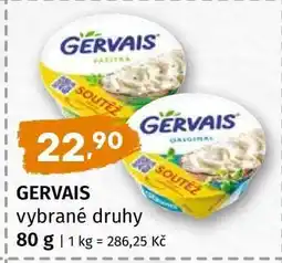 Terno Gervais vybrané druhy nabídka