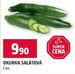 Terno Okurka salátová nabídka