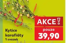 Kaufland Kytice - Karafiáty nabídka