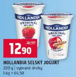 Terno Hollandia selský jogurt nabídka