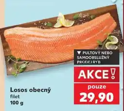 Kaufland Losos obecný filet nabídka