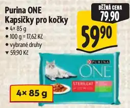 Albert Purina One kapsičky pro kočky nabídka