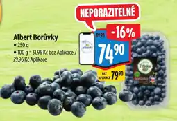 Albert Albert Borůvky nabídka