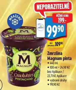 Albert Magnum pinta nabídka