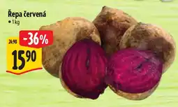 Albert Řepa červená nabídka