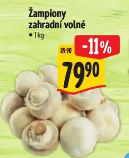 Albert Žampiony zahradní volné nabídka