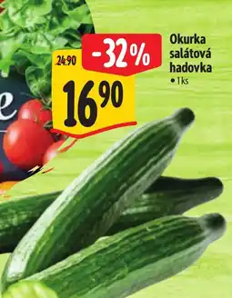 Albert Okurka salátová hadovka nabídka