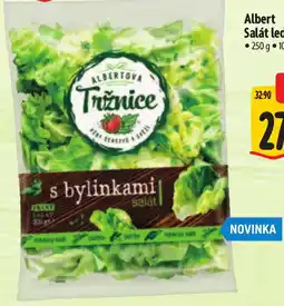Albert Albertova Tržnice salát s bylinkami nabídka