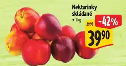 Albert Nektarinky skládané nabídka