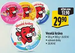Albert Veselá kráva nabídka