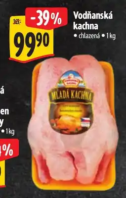 Albert Vodiňanská kachna nabídka