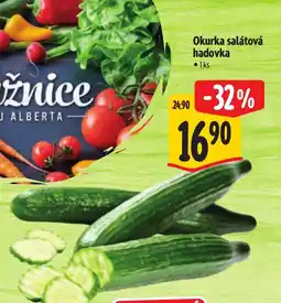 Albert Okurka salátová hadovka nabídka