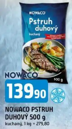 Trefa Nowaco pstruh duhový nabídka