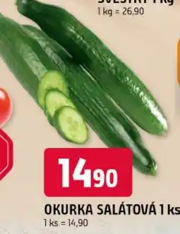 Trefa Okurka salátová nabídka