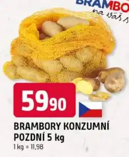 Trefa Brambo brambory konzumní pozdní nabídka