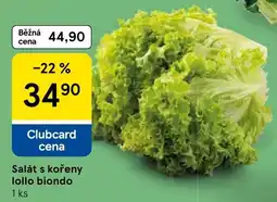 Tesco Salát s kořeny lollo biondo nabídka