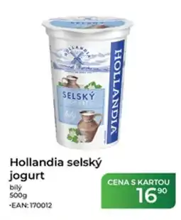 Tamda Foods Hollandia selský jogurt nabídka