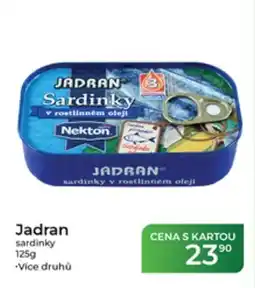 Tamda Foods Jadran sardinky nabídka