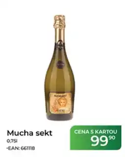 Tamda Foods Mucha sekt nabídka
