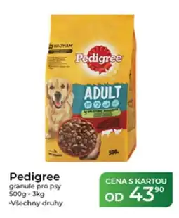 Tamda Foods Pedigree granule pro psy nabídka