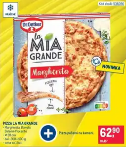 Makro Dr.Oetker la mia grande margherita nabídka