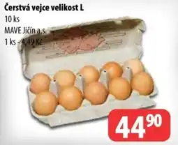 Partner Maloobchodní síť MAVE čerstvá vejce velikost L nabídka