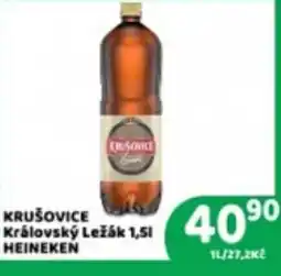 Brněnka Heineken Královský Ležák nabídka