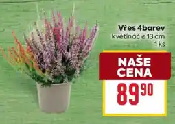 Billa Vřes 4barev nabídka