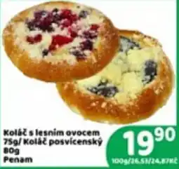 Brněnka Penam koláč s lesním ovocem nabídka