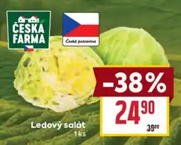 Billa Česká farma ledový salát nabídka