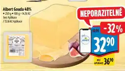 Albert Albert Gouda 48% nabídka