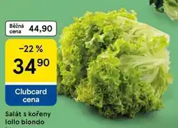 Tesco Salát s kořeny lollo biondo, 1 ks nabídka