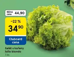 Tesco Salát s kořeny lollo biondo nabídka