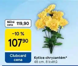 Tesco Kytice chryzantém nabídka