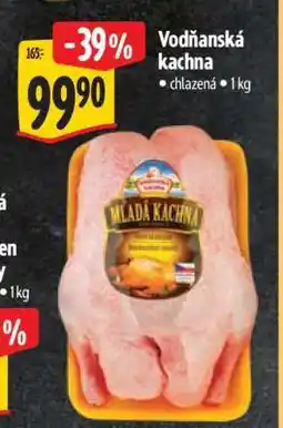 Albert Vodňanská kachna nabídka