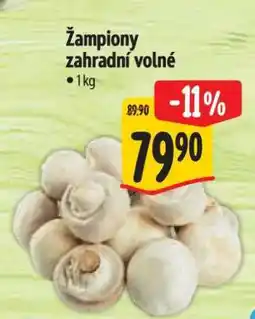 Albert Žampiony zahradní volné nabídka