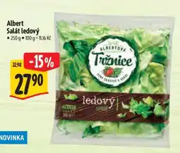 Albert Albert Salát ledový nabídka