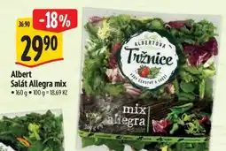 Albert Albert Salát allegra mix nabídka