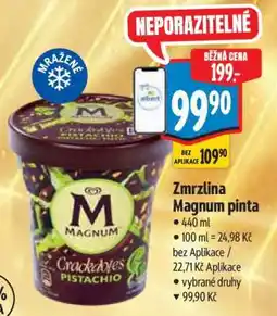 Albert Zmrzlina Magnum Pinta nabídka