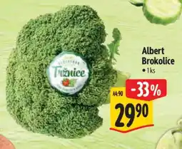 Albert Albert Brokolice nabídka