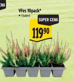 Albert Vřes 10pack nabídka