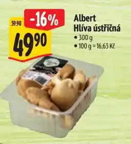 Albert Albert Hlíva ústřičná nabídka